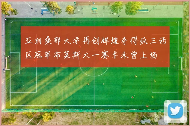 亚利桑那大学再创辉煌夺得疯三西区冠军布莱斯大一赛季未曾上场