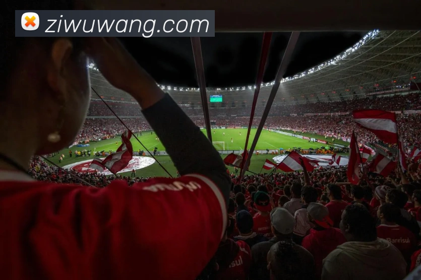 星空体育，星空体育在线官网服务体系